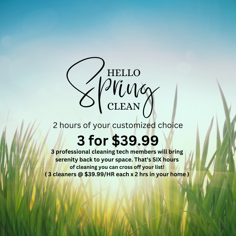 Cleaning Services London Ontario Wellness Cleaners